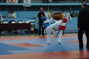 Mistrzostwa Sosnowca Kyokushin Karate 17.05.2009