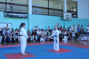 Turniej Karate Kyokushin Dzieci – Myszków 2013