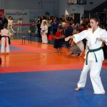 Zawodnicy SKK na II Turnieju Karate o Puchar Prezydenta Miasta Katowic 2