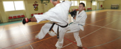 Zgrupowanie Karate Kyokushin